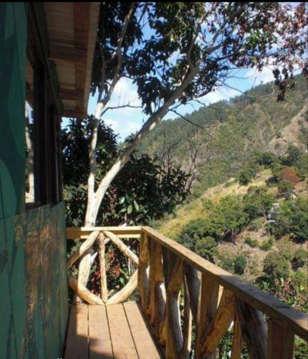 Prince Valley Guesthouse Irish Town 外观 照片